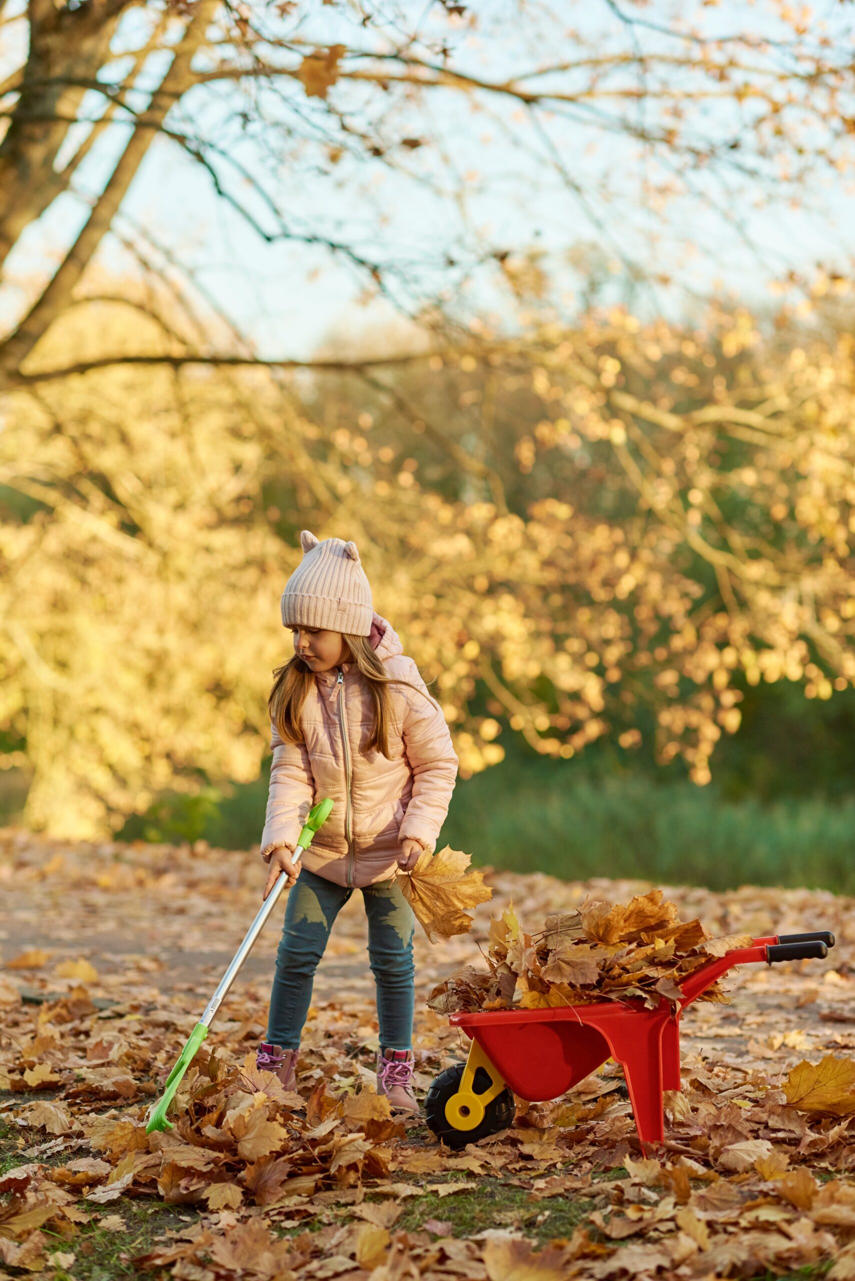 Girl raking leaves into wheel barrow