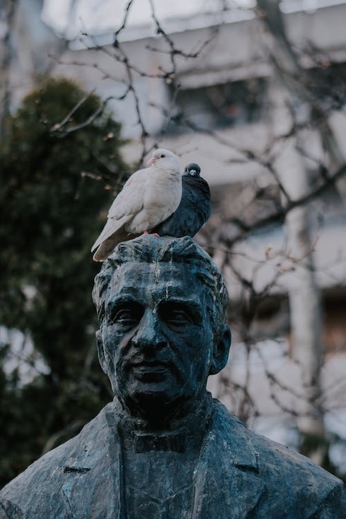 Pigeons on top of a statue