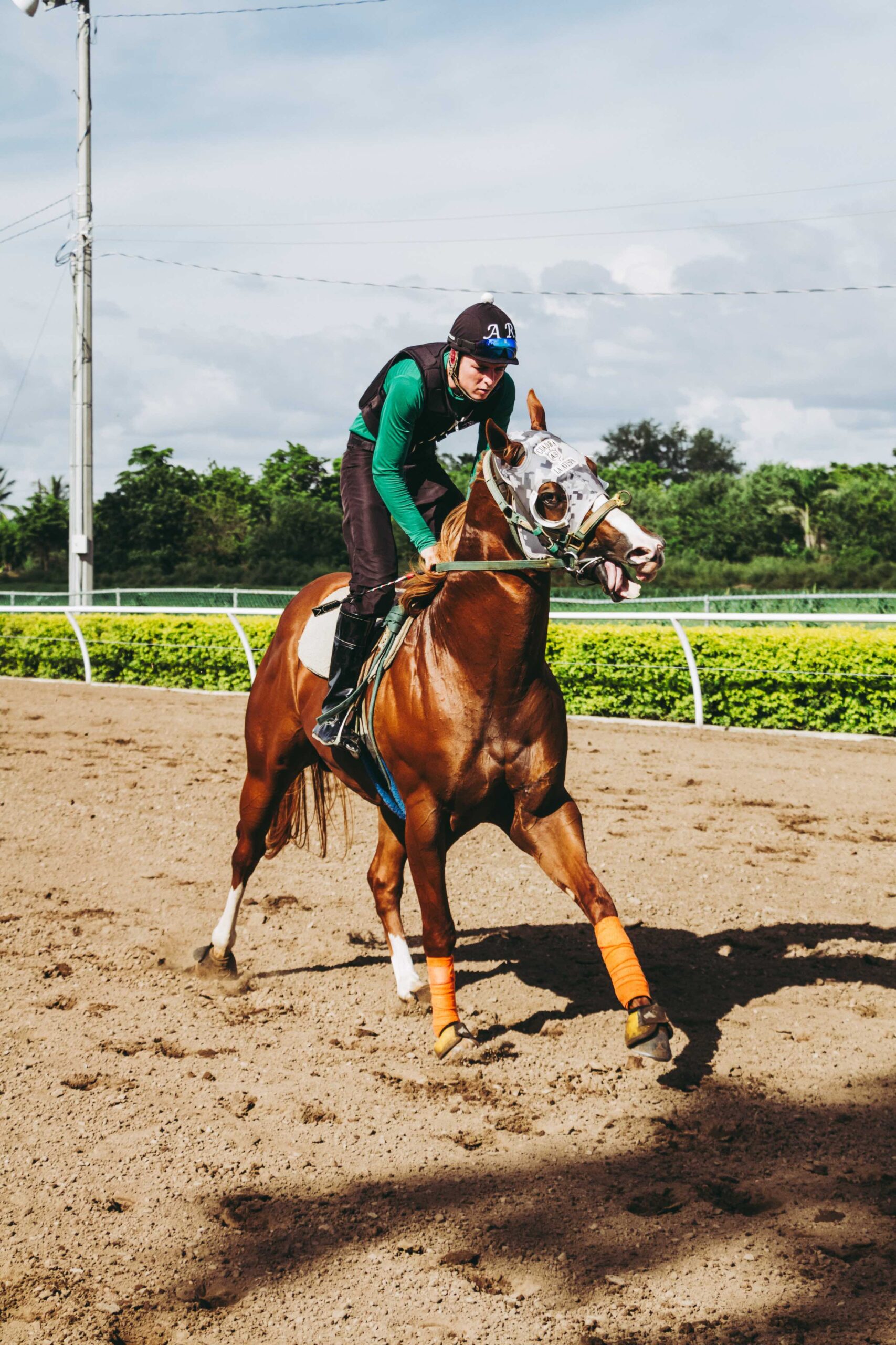 Jockey in green and black rides race horse on a dirt track